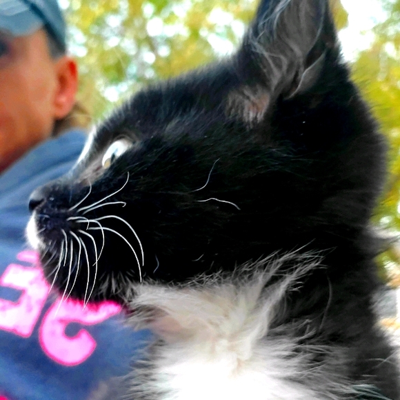 Meet your Posher, Sandaleigh - Picture 1 of 2